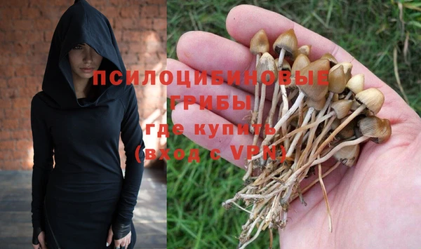 винт Лабытнанги