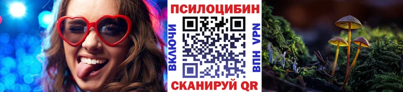 darknet как зайти  Невинномысск  Псилоцибиновые грибы Psilocybe  blacksprut как войти 