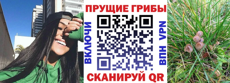 Псилоцибиновые грибы MAGIC MUSHROOMS Невинномысск
