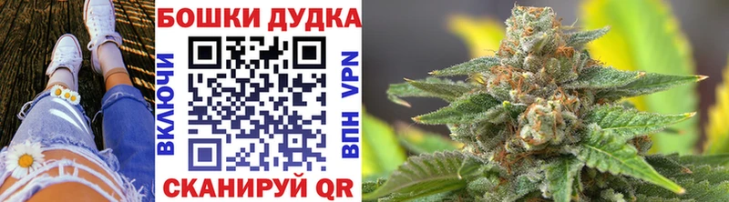 Марихуана индика  купить  цена  Невинномысск 